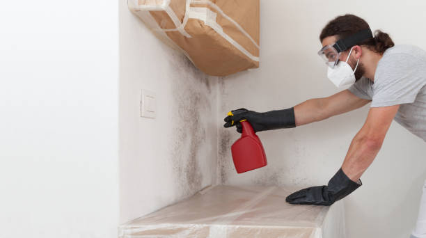 Professional Basement Mold Remediation technician working in Smoketown, PA